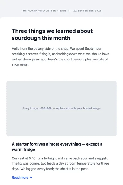 Digest newsletter rendered in a light inbox